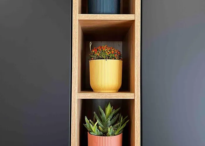 Apartment Chic With Panoramic View